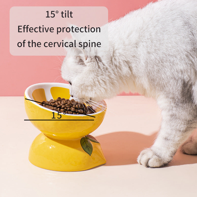 Elevated Ceramic Cat Bowl