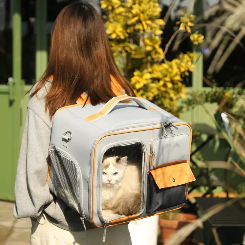 Large Canvas Pet Shoulder Bag