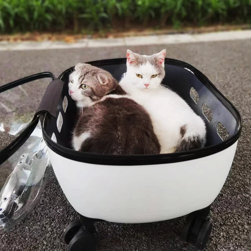 Transparent Capsule Pet Trolley Stroller