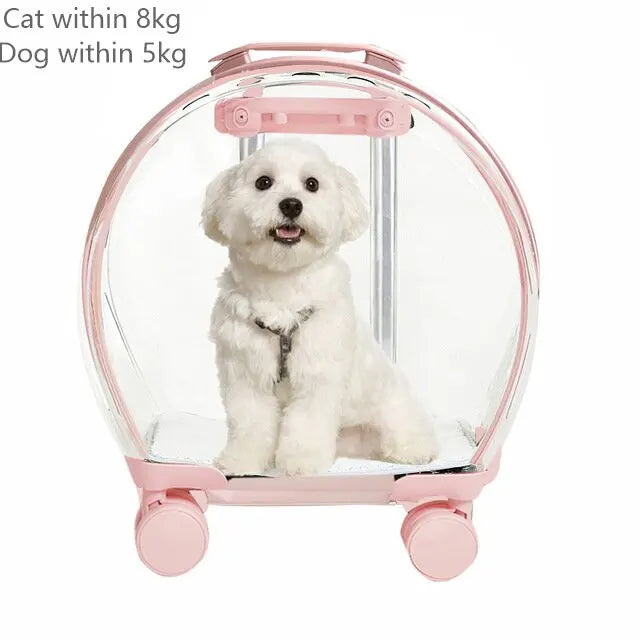 The Capsule Roller