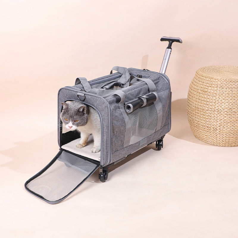 The Fold & Roll Travel Case