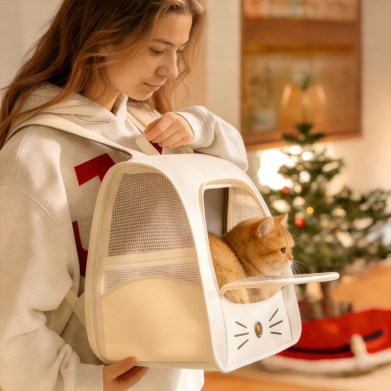 Breathable Mesh Pet Carrier Backpack