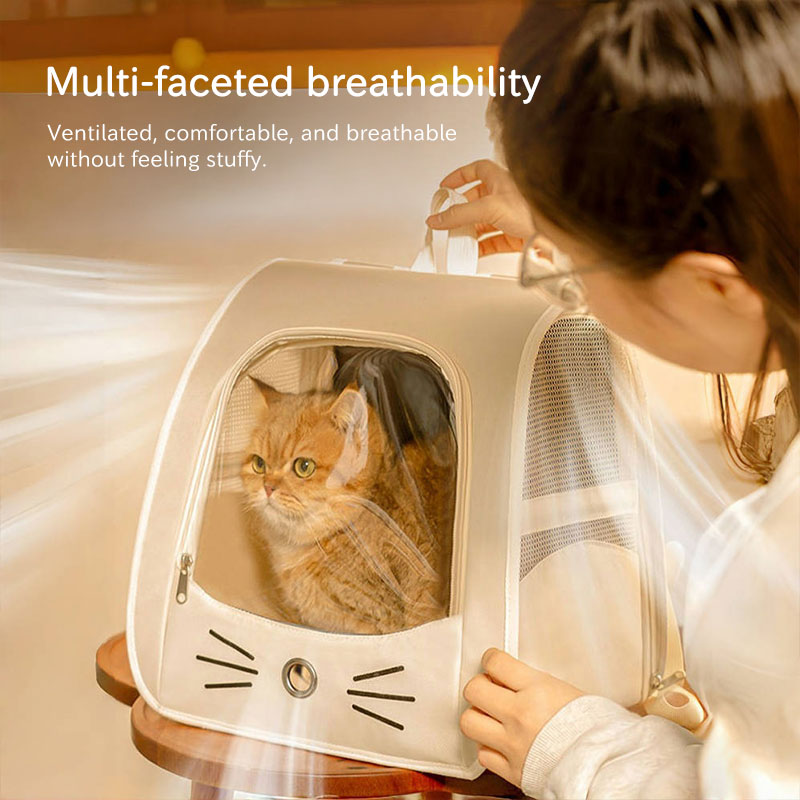 Breathable Mesh Pet Carrier Backpack