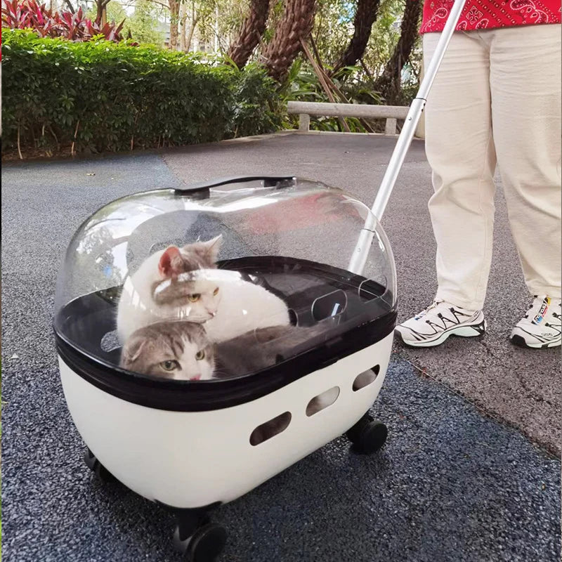 Transparent Capsule Pet Trolley Stroller