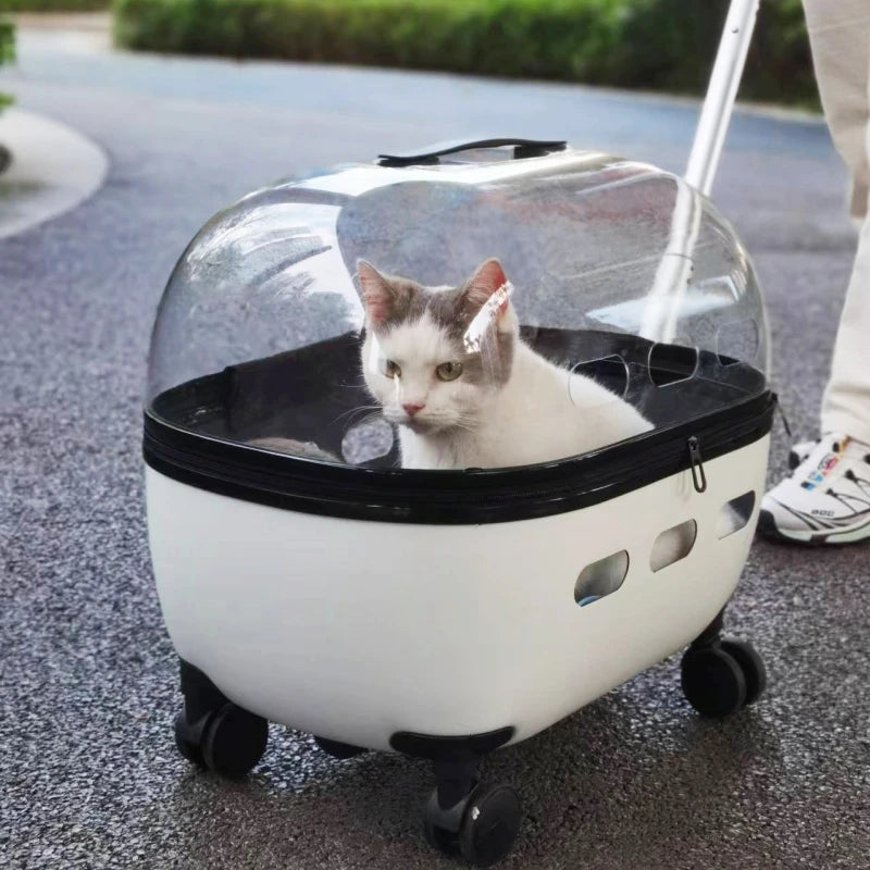 Transparent Capsule Pet Trolley Stroller
