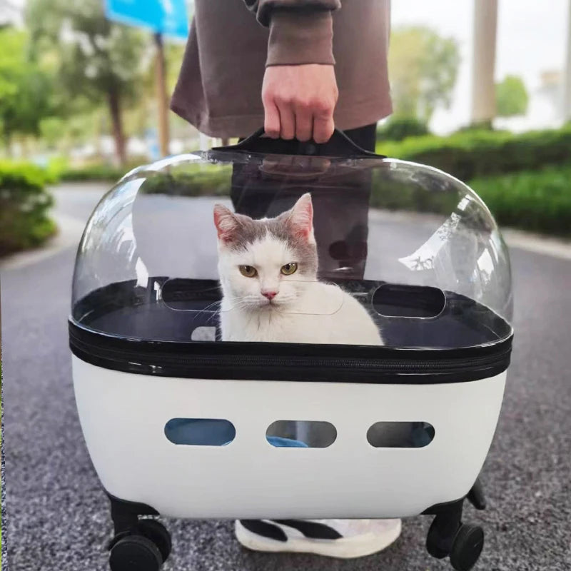 Transparent Capsule Pet Trolley Stroller