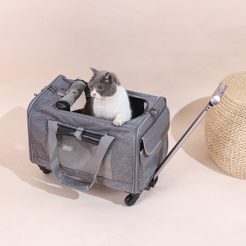 The Fold & Roll Travel Case