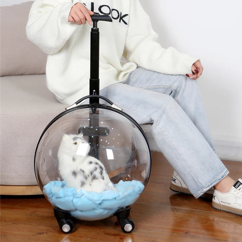 The Capsule Roller