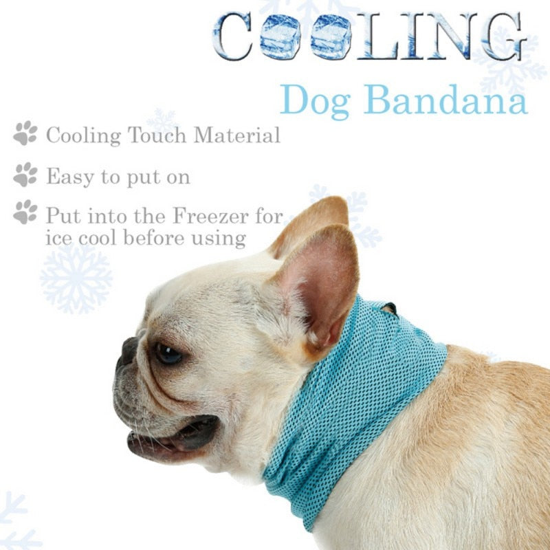The Cool Neck Wrap
