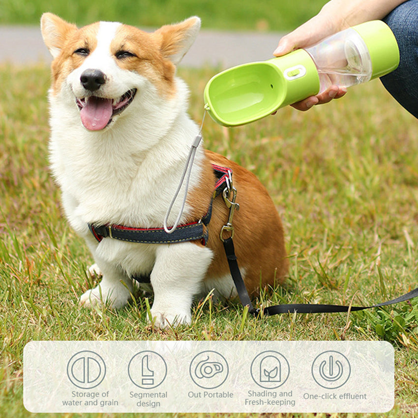 The Travel Feeder Bottle