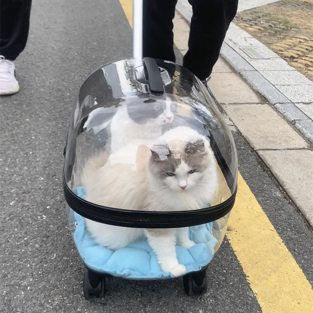 Transparent Capsule Pet Trolley Stroller